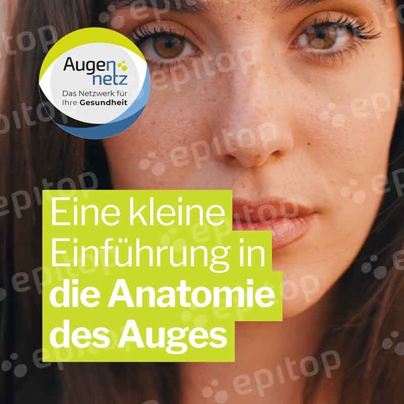 Social-Media Reel "Anatomie des Auges"